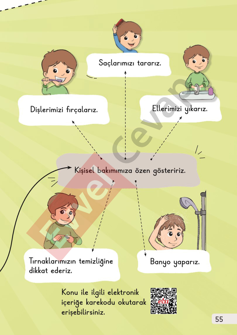 1-sinif-hayat-bilgisi-1-kitap-cevaplari-sayfa-55