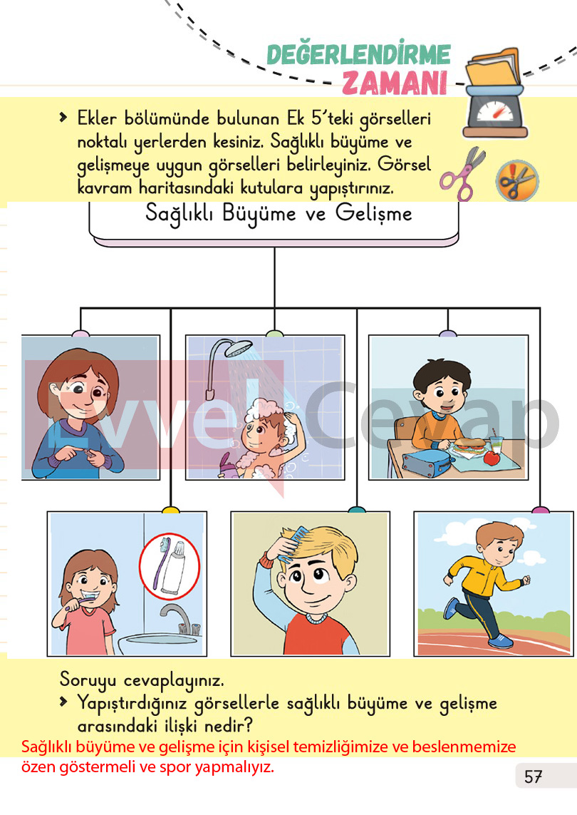 1-sinif-hayat-bilgisi-1-kitap-cevaplari-sayfa-57