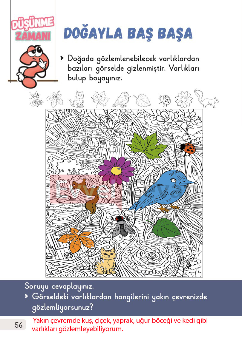 1-sinif-hayat-bilgisi-2-kitap-cevaplari-sayfa-56