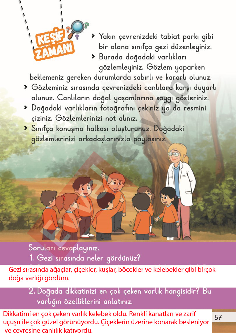 1-sinif-hayat-bilgisi-2-kitap-cevaplari-sayfa-57