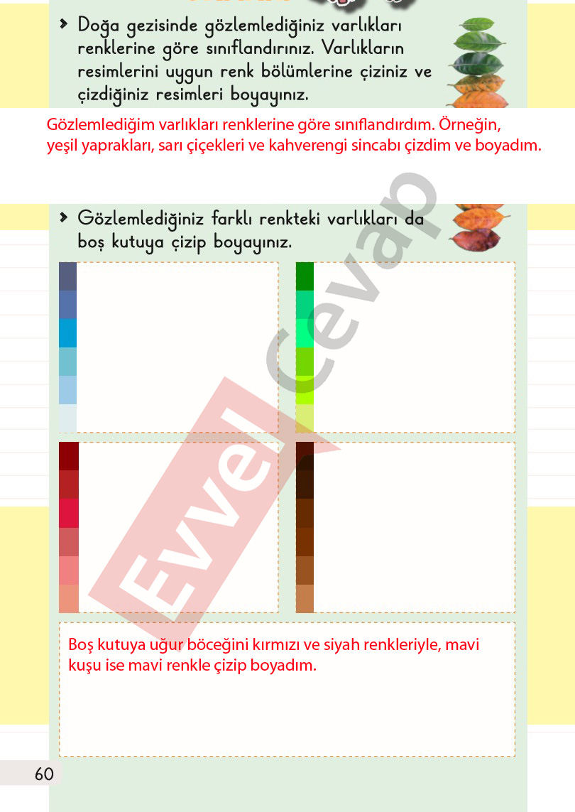 1-sinif-hayat-bilgisi-2-kitap-cevaplari-sayfa-60