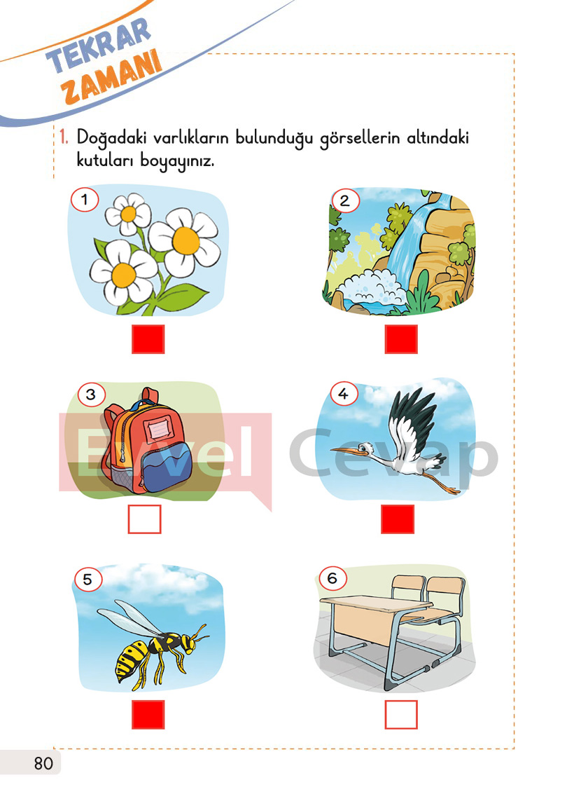 1-sinif-hayat-bilgisi-2-kitap-cevaplari-sayfa-80