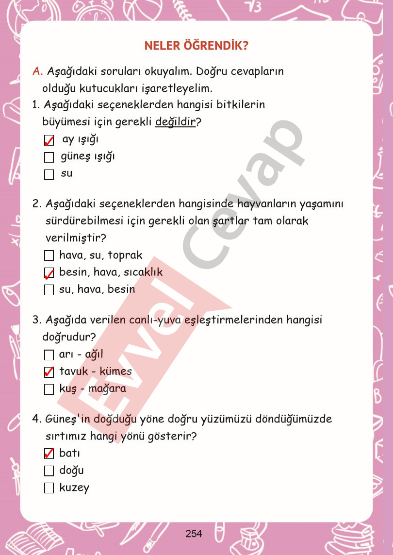 2-sinif-hayat-bilgisi-kitabi-cevaplari-sayfa-254