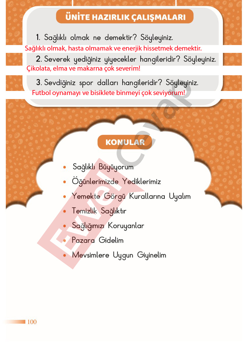 2-sinif-hayat-bilgisi-sdr-dikey-yayincilik-cevaplari-sayfa-100
