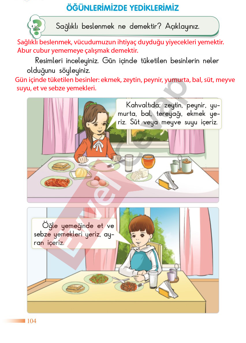 2-sinif-hayat-bilgisi-sdr-dikey-yayincilik-cevaplari-sayfa-104