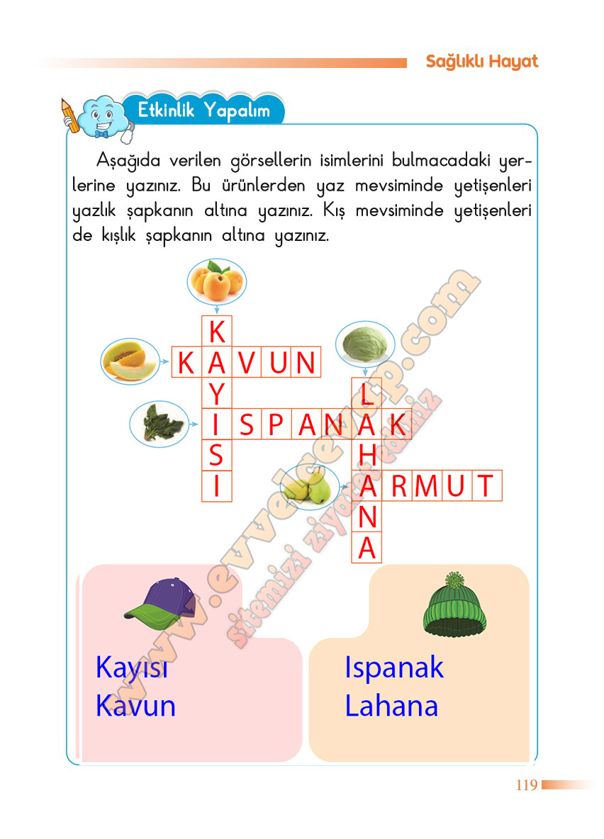 2-sinif-hayat-bilgisi-sdr-dikey-yayincilik-cevaplari-sayfa-119