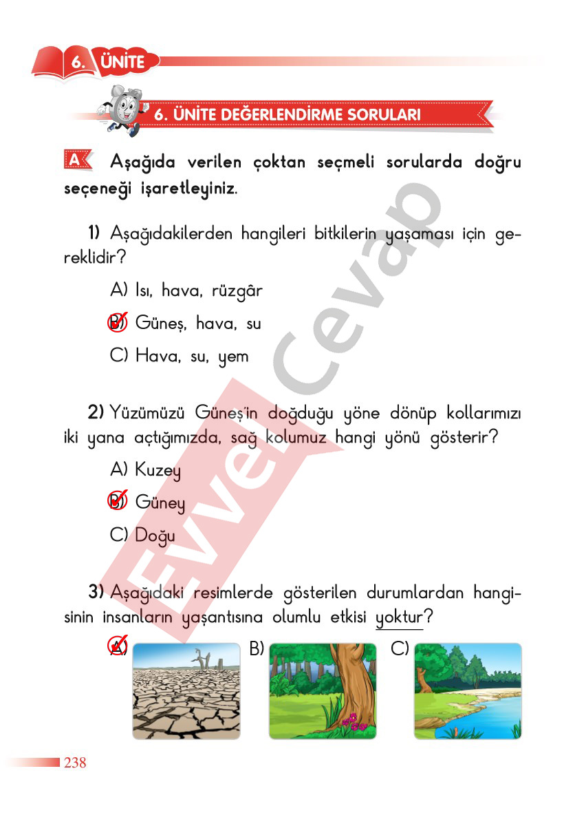 2-sinif-hayat-bilgisi-sdr-dikey-yayincilik-cevaplari-sayfa-238