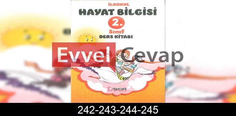 2. Sınıf Hayat Bilgisi SDR Dikey Yayıncılık Cevapları Sayfa 242-243-244-245