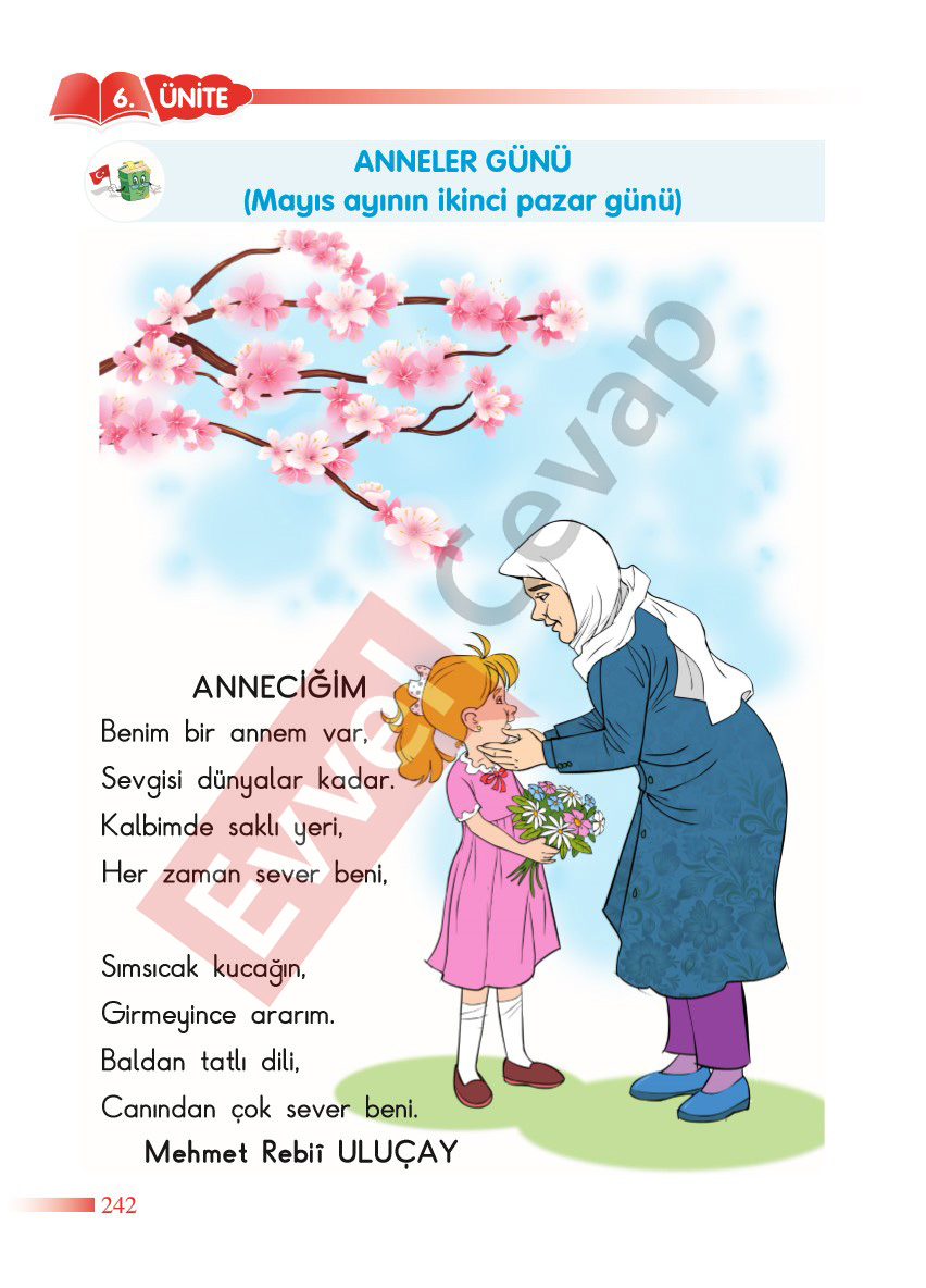 2-sinif-hayat-bilgisi-sdr-dikey-yayincilik-cevaplari-sayfa-242