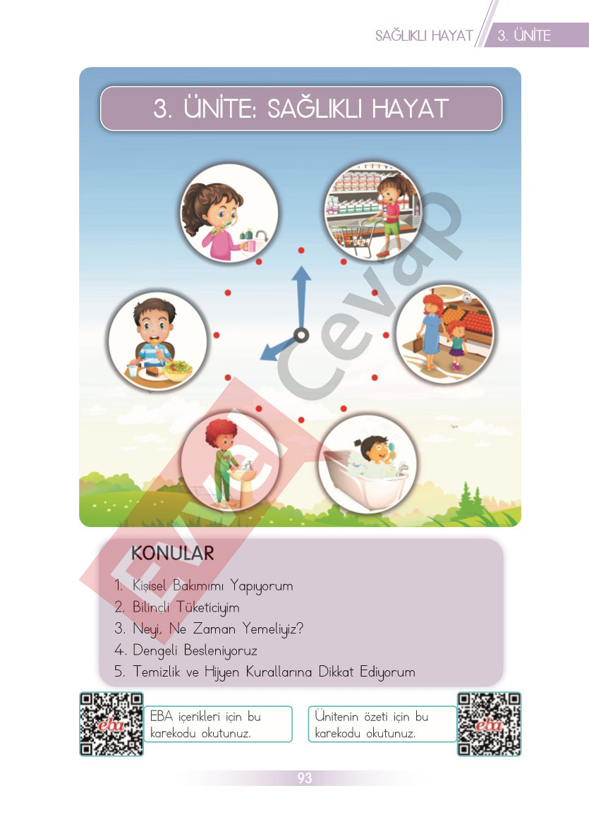 3-sinif-hayat-bilgisi-ders-kitabi-cevaplari-sayfa-93