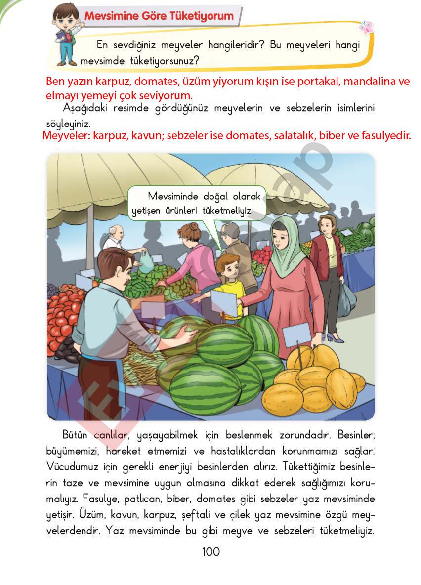 3-sinif-hayat-bilgisi-sdr-ipekyolu-cevaplari-sayfa-100