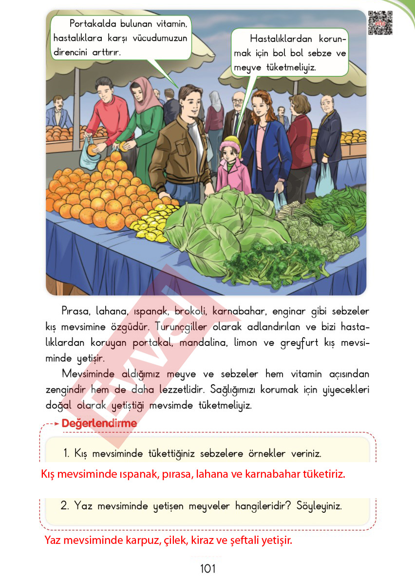 3-sinif-hayat-bilgisi-sdr-ipekyolu-cevaplari-sayfa-101