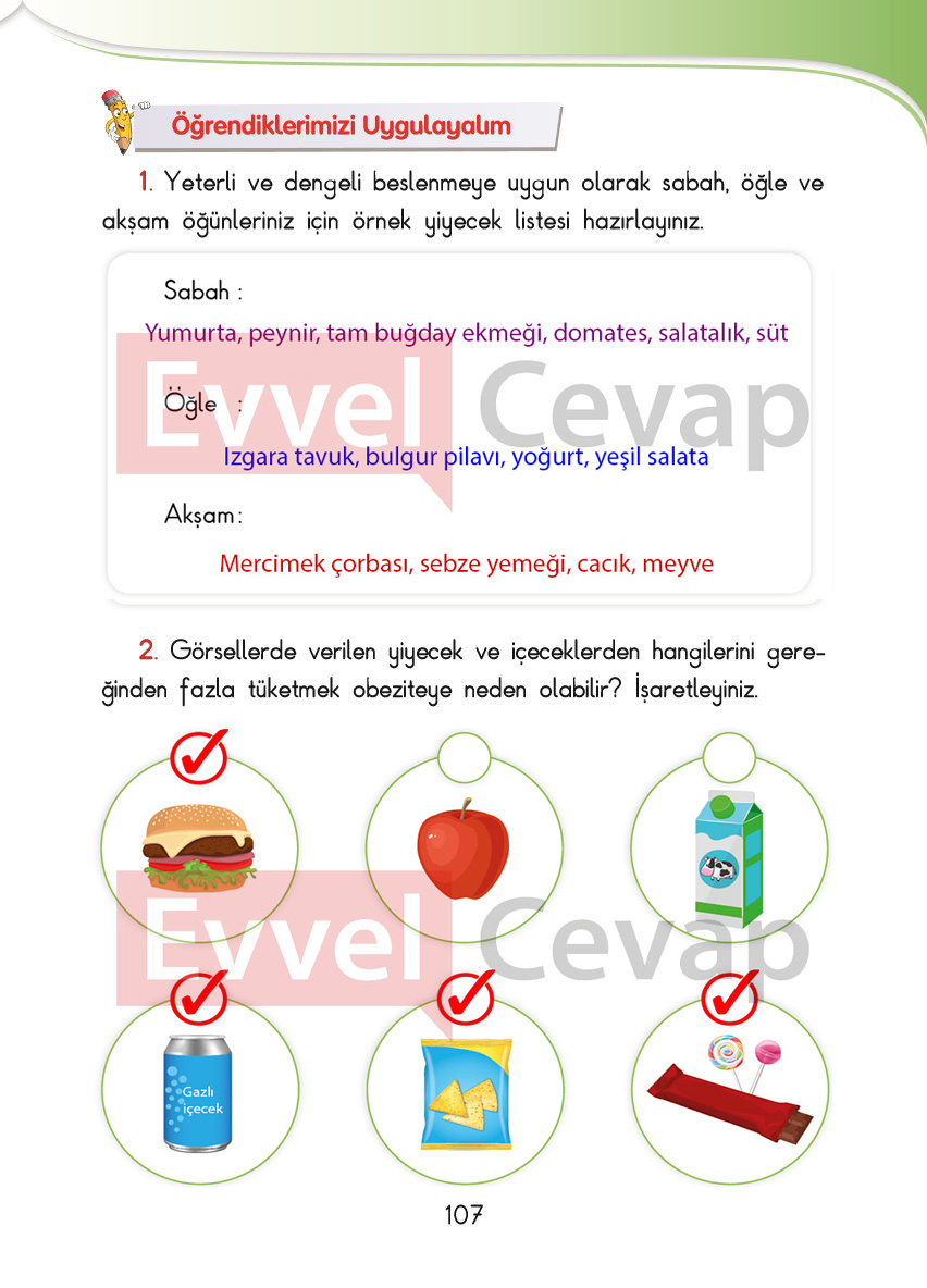 3-sinif-hayat-bilgisi-sdr-ipekyolu-cevaplari-sayfa-107