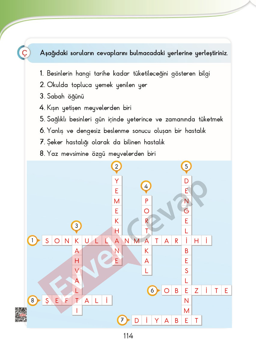 3-sinif-hayat-bilgisi-sdr-ipekyolu-cevaplari-sayfa-114