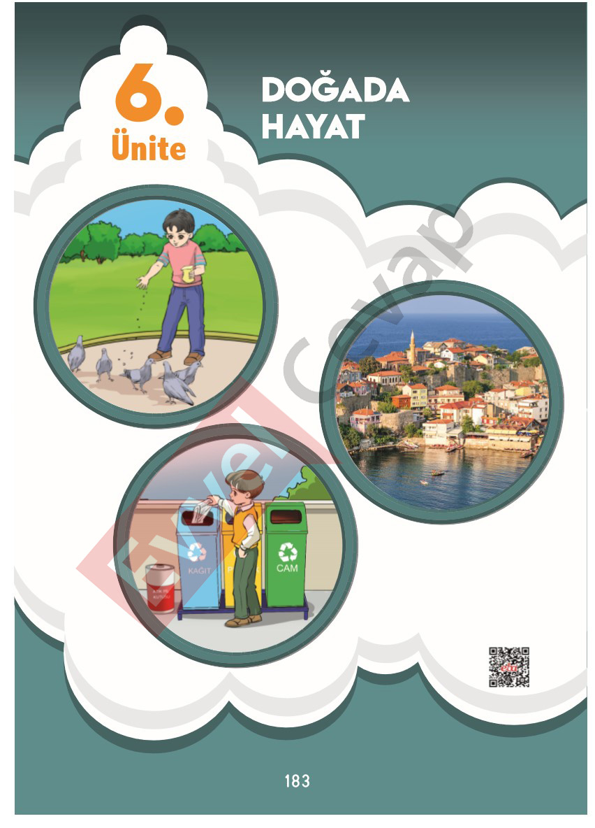 3-sinif-hayat-bilgisi-sdr-ipekyolu-cevaplari-sayfa-183