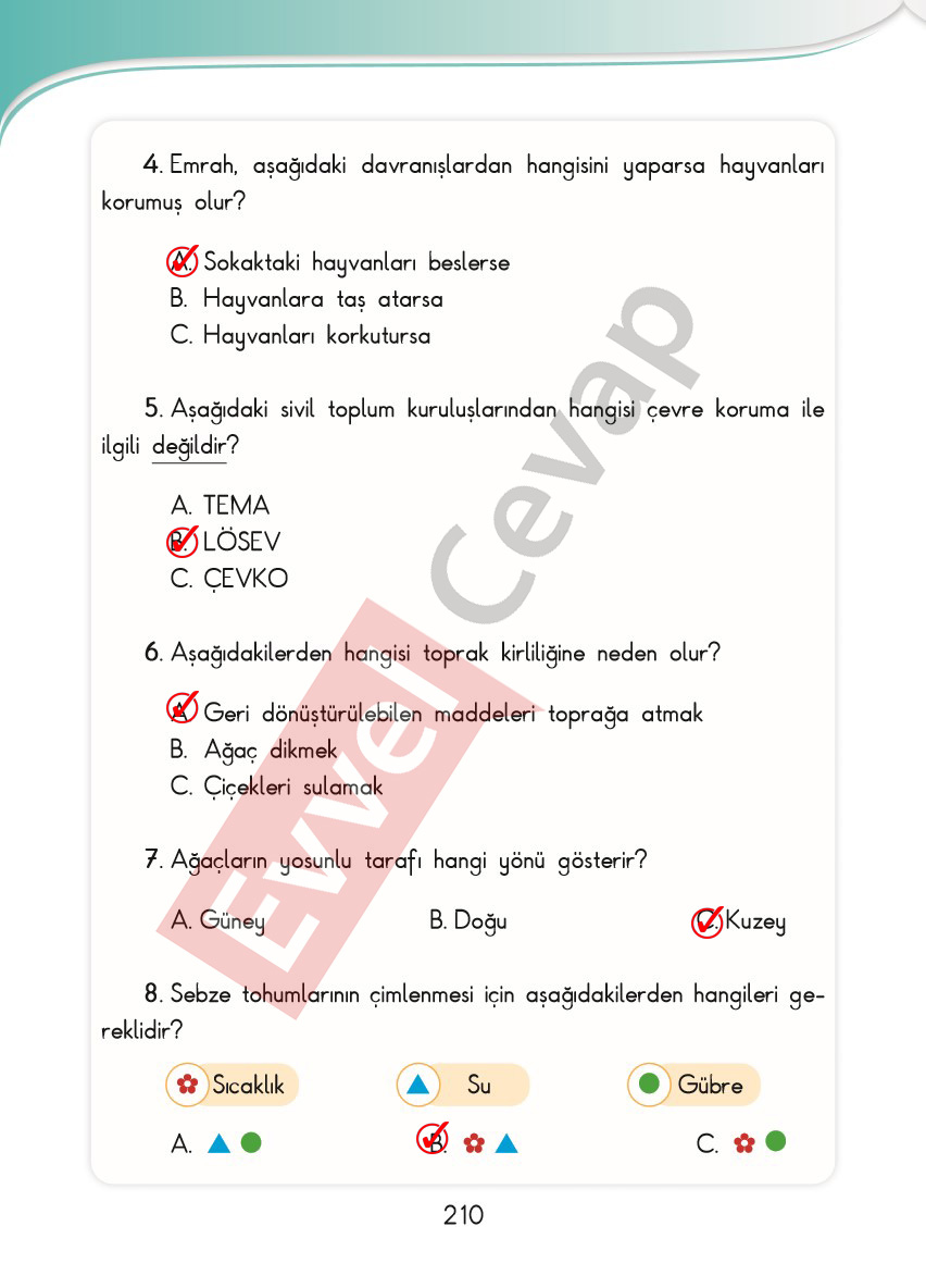 3-sinif-hayat-bilgisi-sdr-ipekyolu-cevaplari-sayfa-210