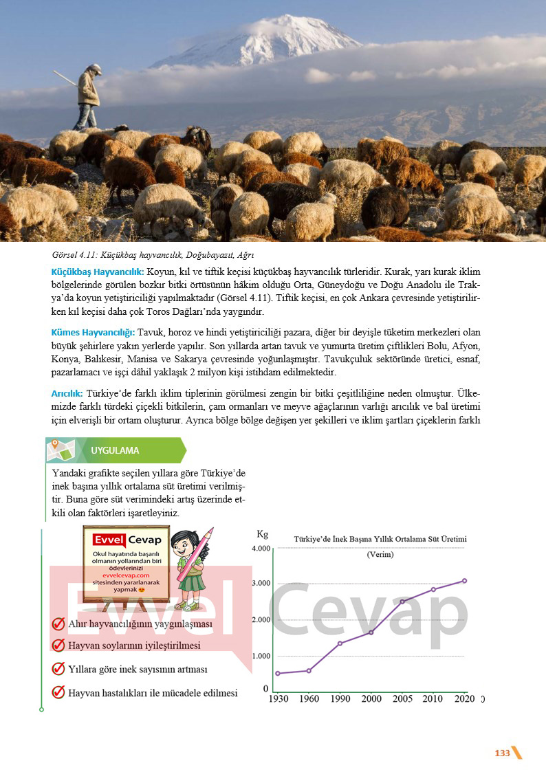 11-sinif-cografya-ders-kitabi-cevaplari-sayfa-133