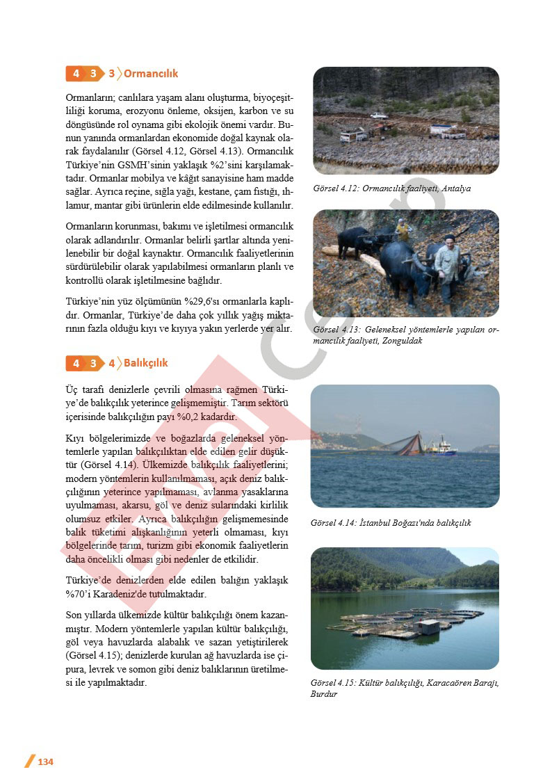 11-sinif-cografya-ders-kitabi-cevaplari-sayfa-134