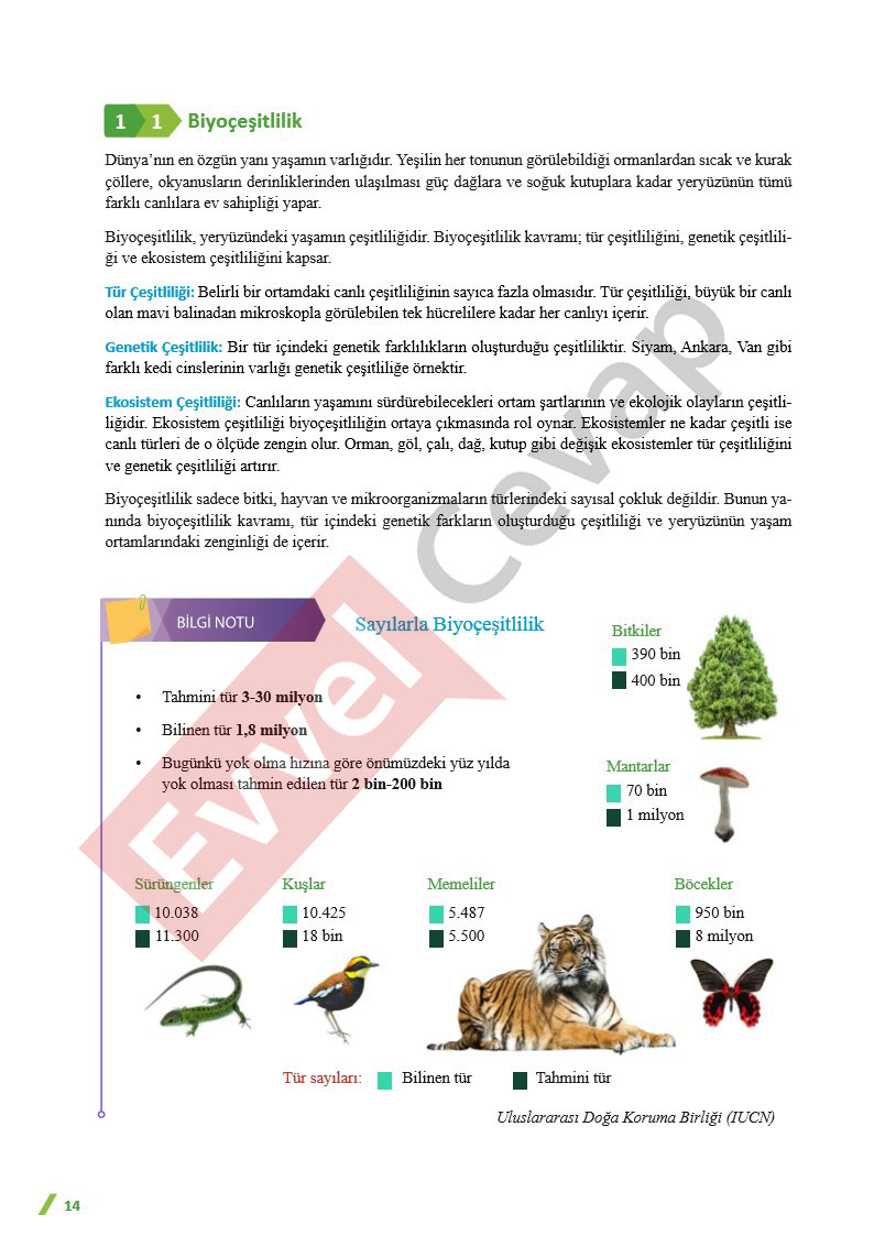 11-sinif-cografya-ders-kitabi-cevaplari-sayfa-14