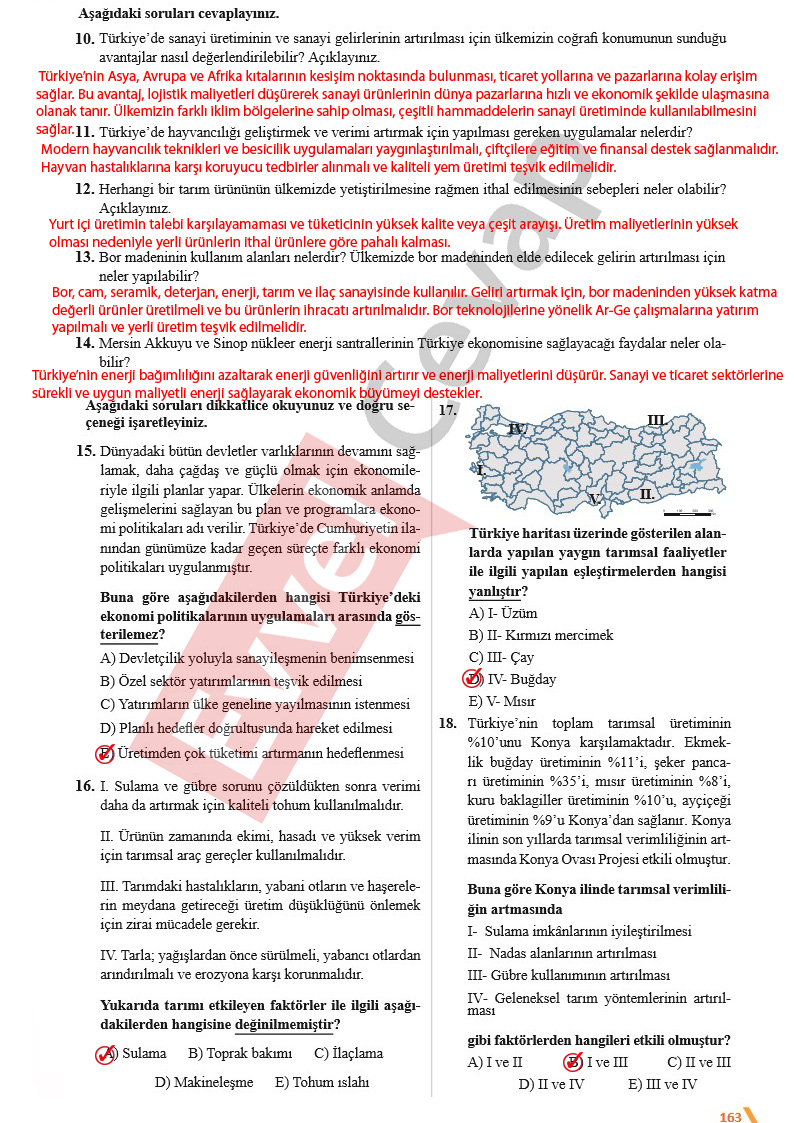 11-sinif-cografya-ders-kitabi-cevaplari-sayfa-163