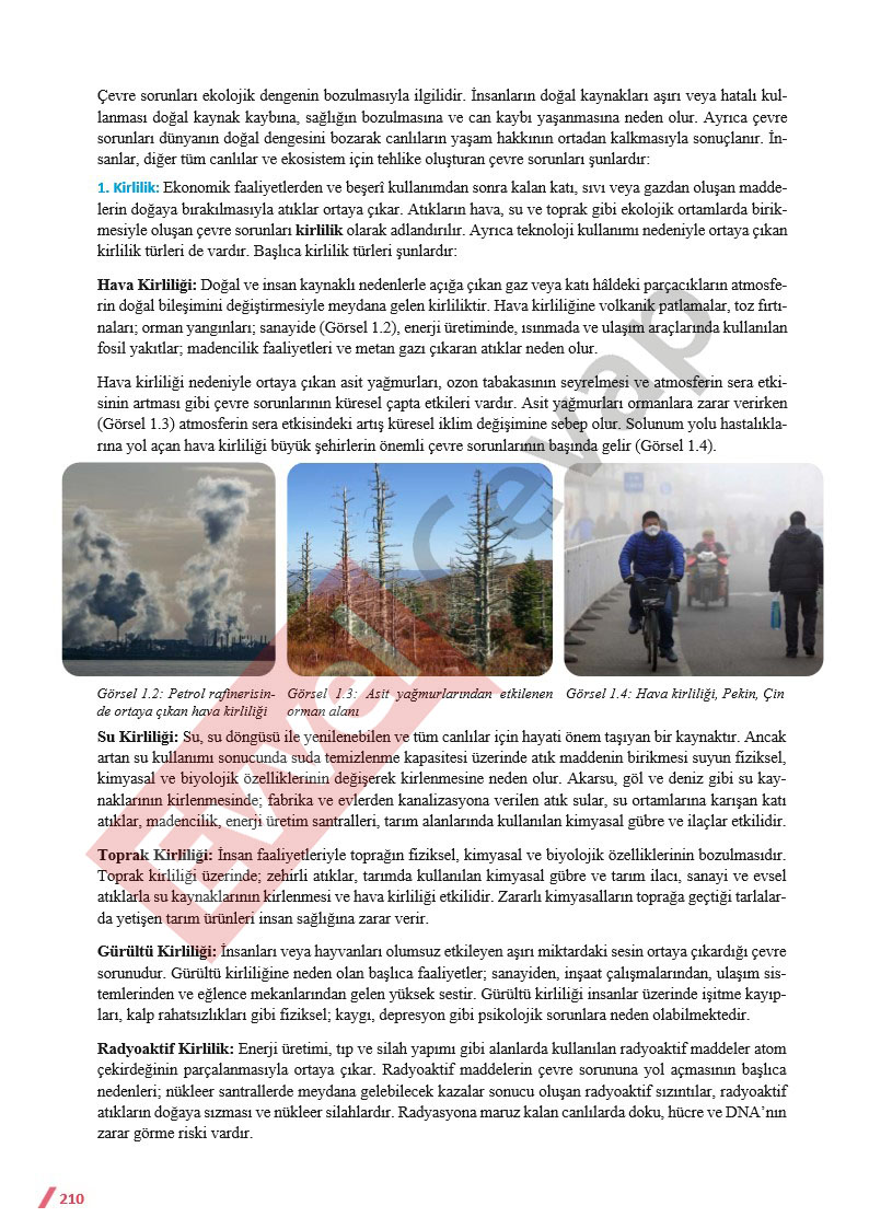 11-sinif-cografya-ders-kitabi-cevaplari-sayfa-210