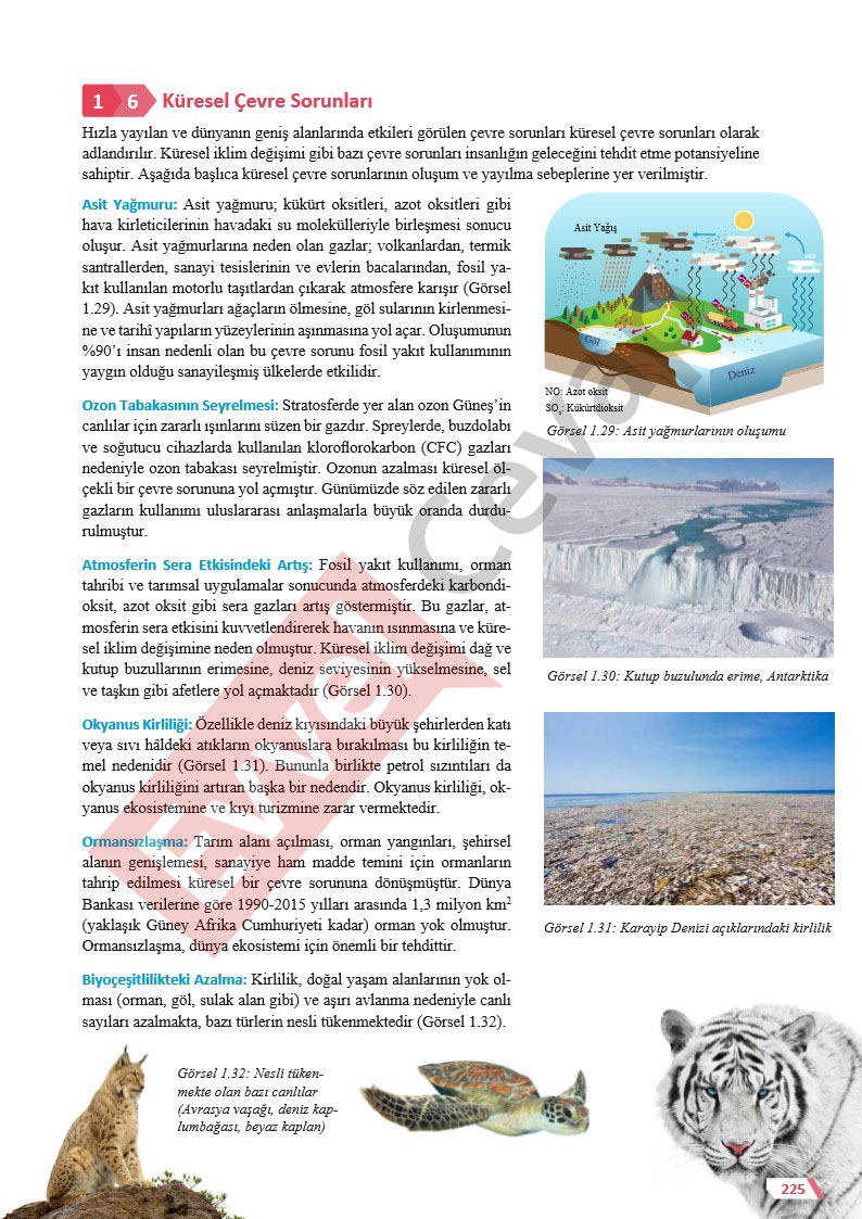 11-sinif-cografya-ders-kitabi-cevaplari-sayfa-225