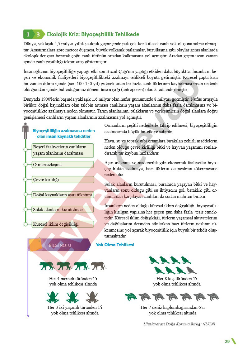 11-sinif-cografya-ders-kitabi-cevaplari-sayfa-29