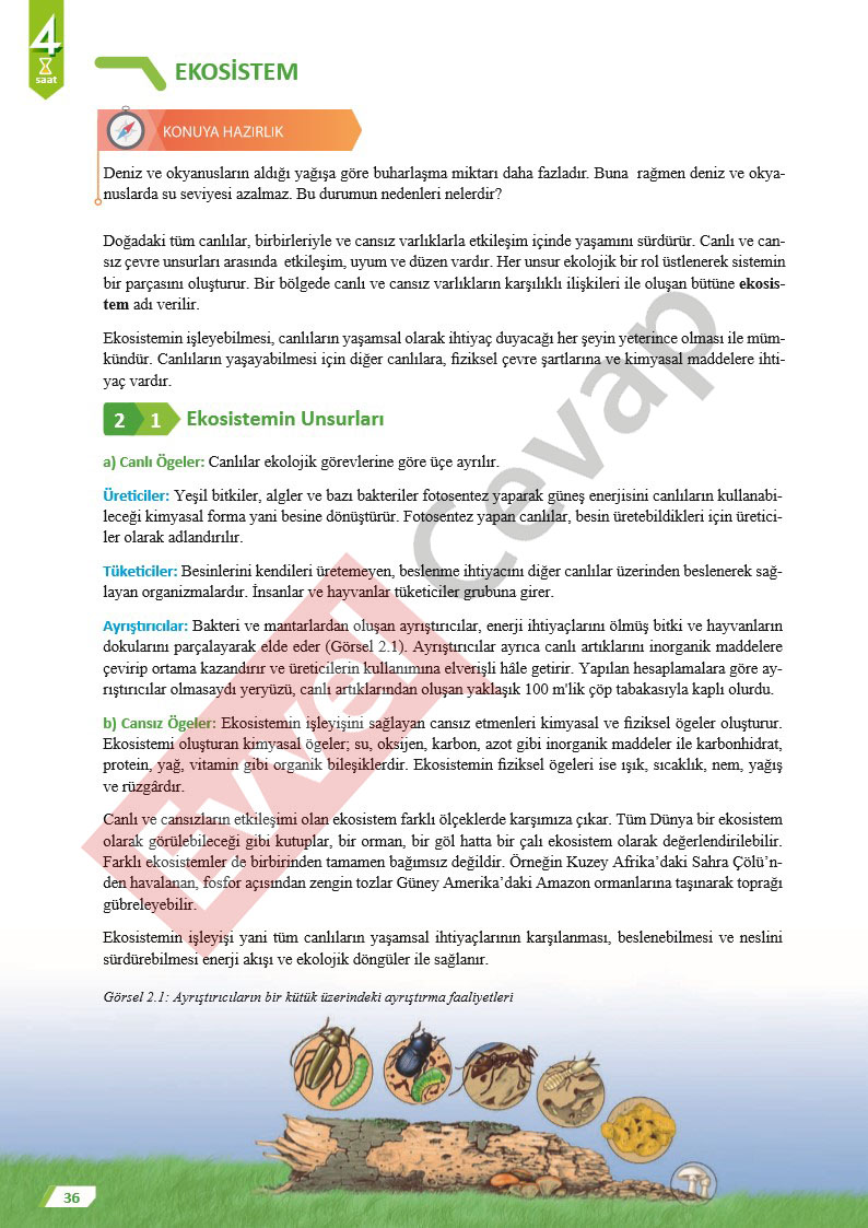 11-sinif-cografya-ders-kitabi-cevaplari-sayfa-36