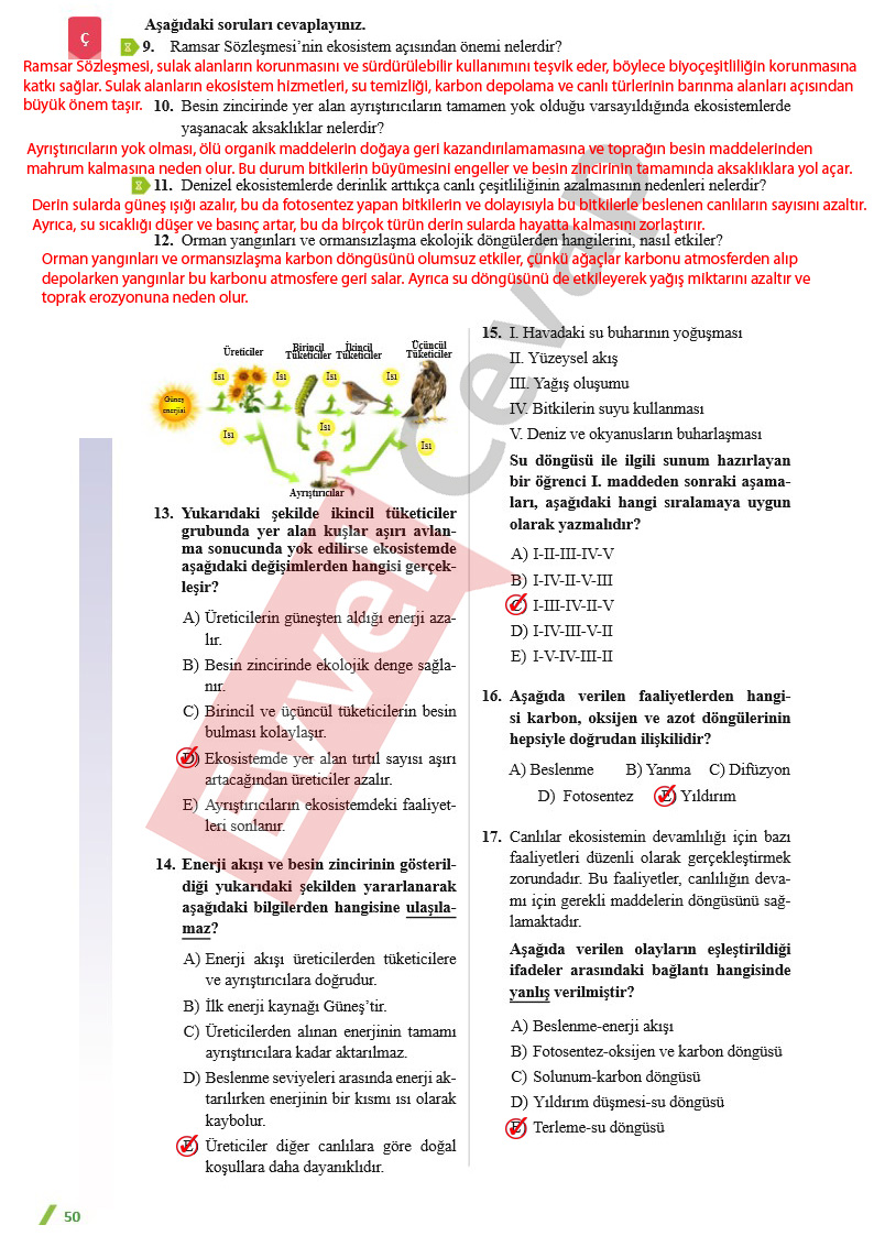 11-sinif-cografya-ders-kitabi-cevaplari-sayfa-50