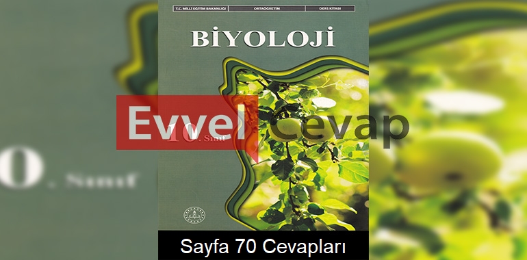 10. Sınıf Biyoloji Ders Kitabı Meb Yayınları Cevapları Sayfa 70 