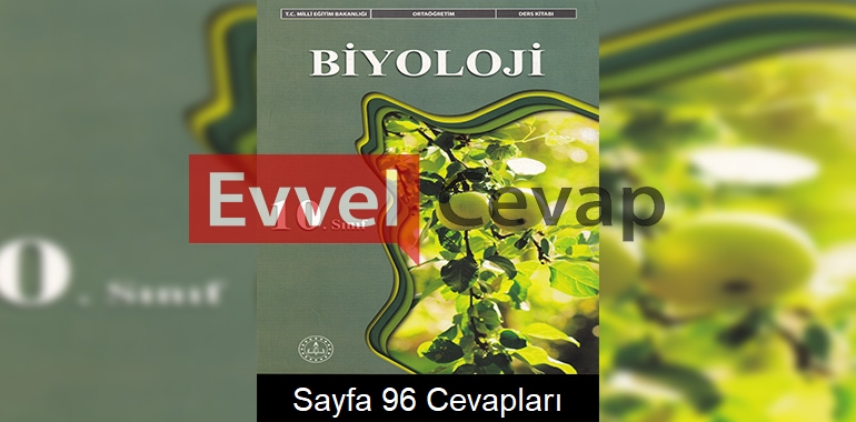 10. Sınıf Biyoloji Ders Kitabı Meb Yayınları Cevapları Sayfa 96 