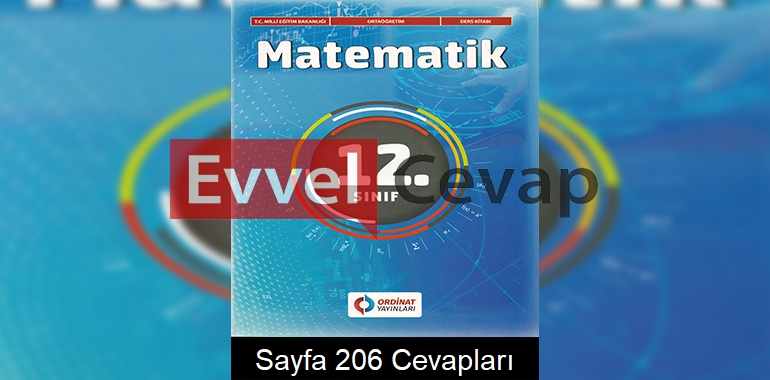 12. Sınıf Matematik Ders Kitabı Cevapları Ordinat Yayınları Sayfa 206 