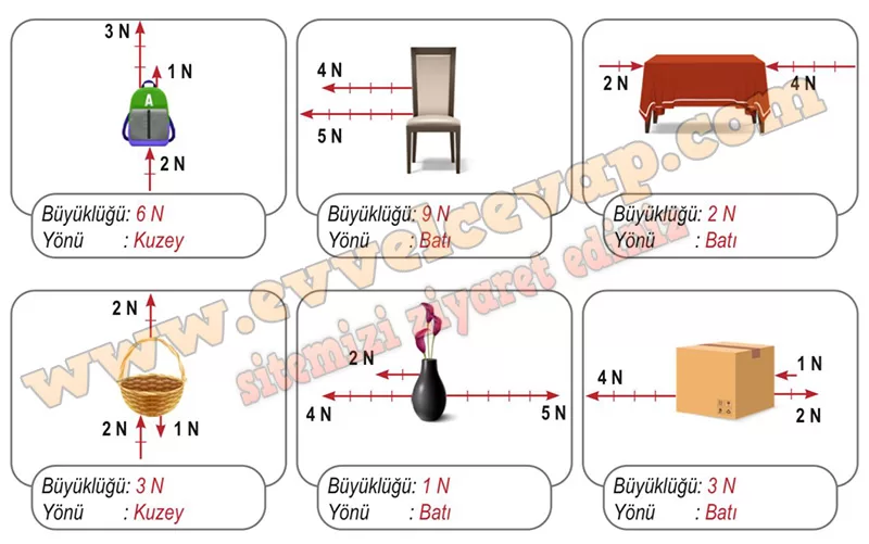 Aşağıda cisimlere etki eden kuvvetler verilmiştir. Bu cisimlere etki eden bileşke kuvvetin büyüklüğünü ve yönünü yazalım.