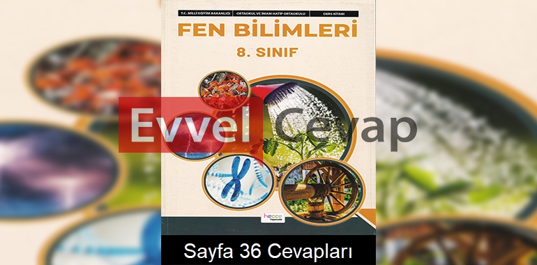 8. Sınıf Fen Bilimleri Ders Kitabı Cevapları Hecce Yayınları Sayfa 36 