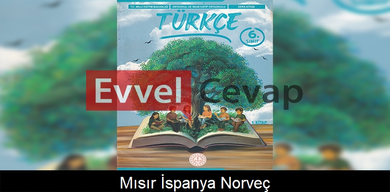 Mısır – İspanya – Norveç Metni Etkinlik Cevapları (6. Sınıf Türkçe) 