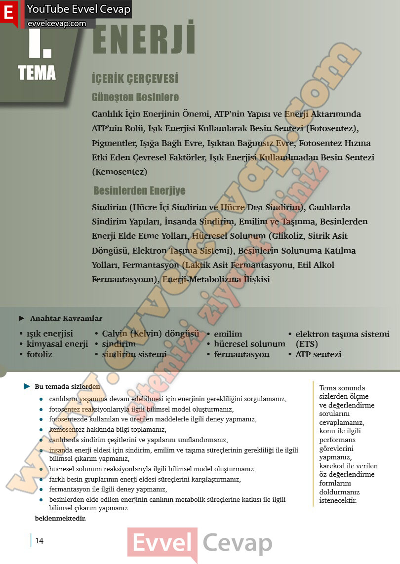 10-sinif-biyoloji-ders-kitabi-cevaplari-meb-yayinlari-2025-2026-sayfa-14