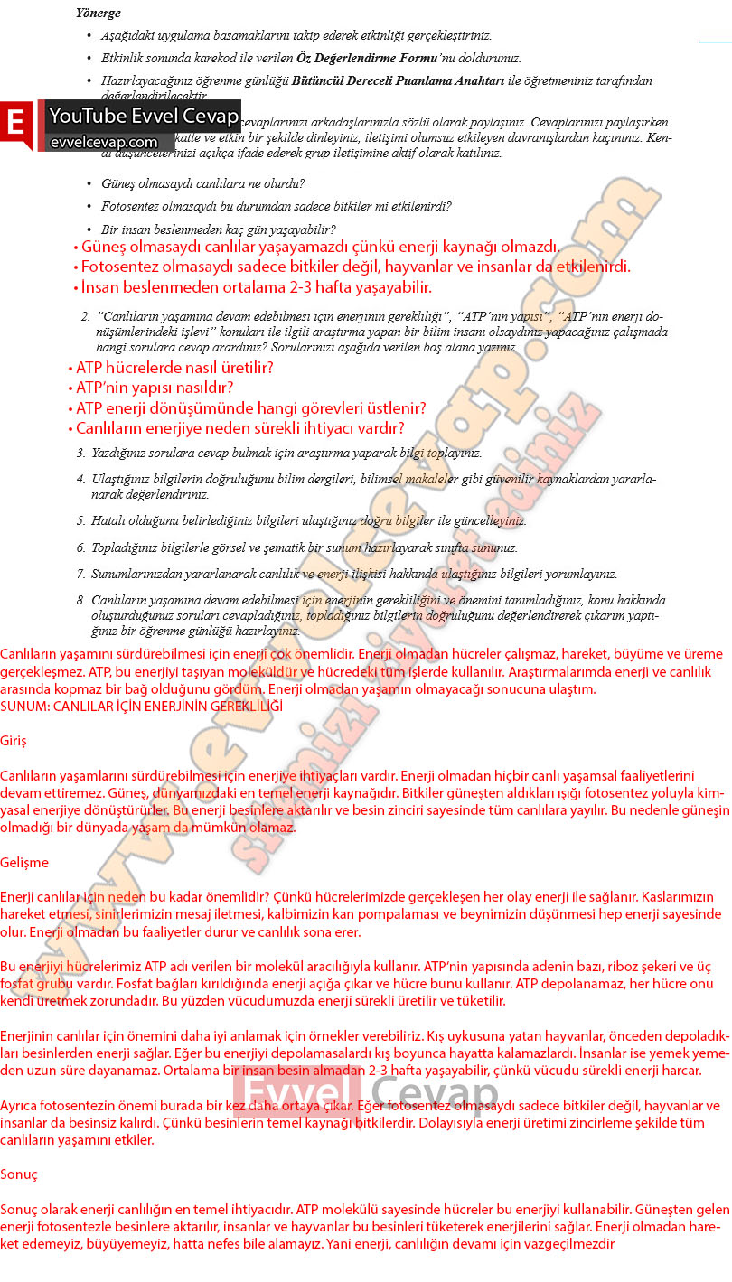 10-sinif-biyoloji-ders-kitabi-cevaplari-meb-yayinlari-2025-2026-sayfa-17