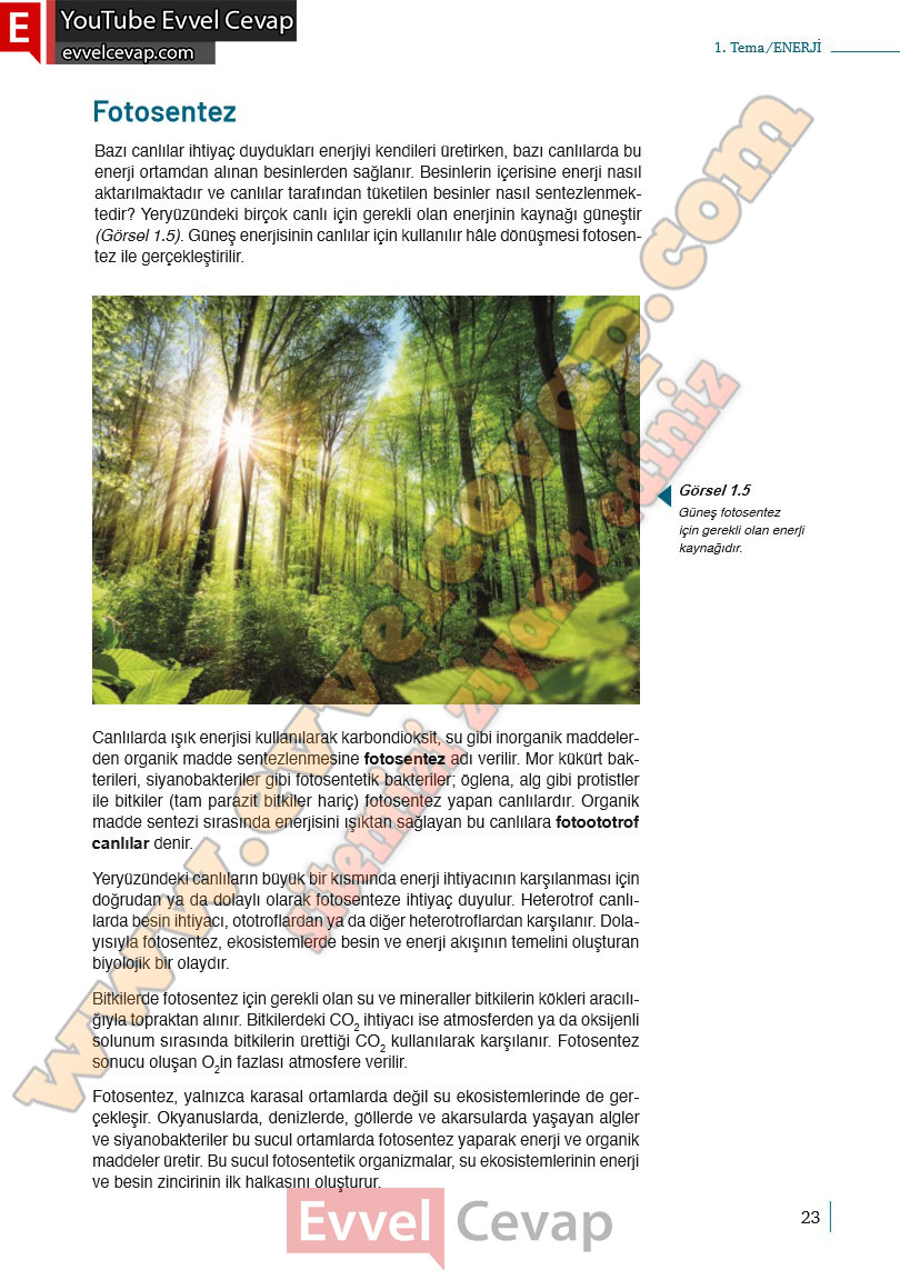 10-sinif-biyoloji-ders-kitabi-cevaplari-meb-yayinlari-2025-2026-sayfa-23