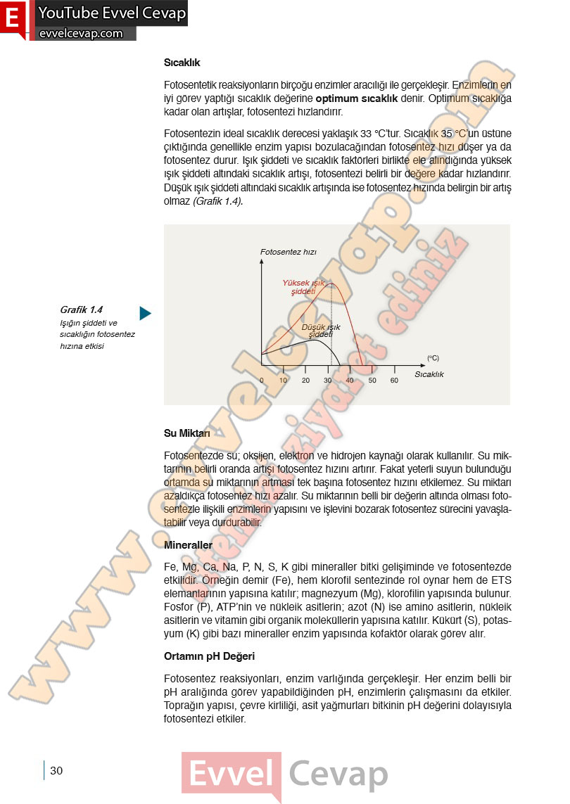 10-sinif-biyoloji-ders-kitabi-cevaplari-meb-yayinlari-2025-2026-sayfa-30