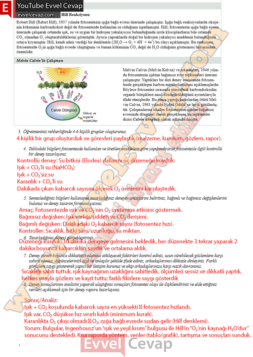 10-sinif-biyoloji-ders-kitabi-cevaplari-meb-yayinlari-2025-2026-sayfa-34