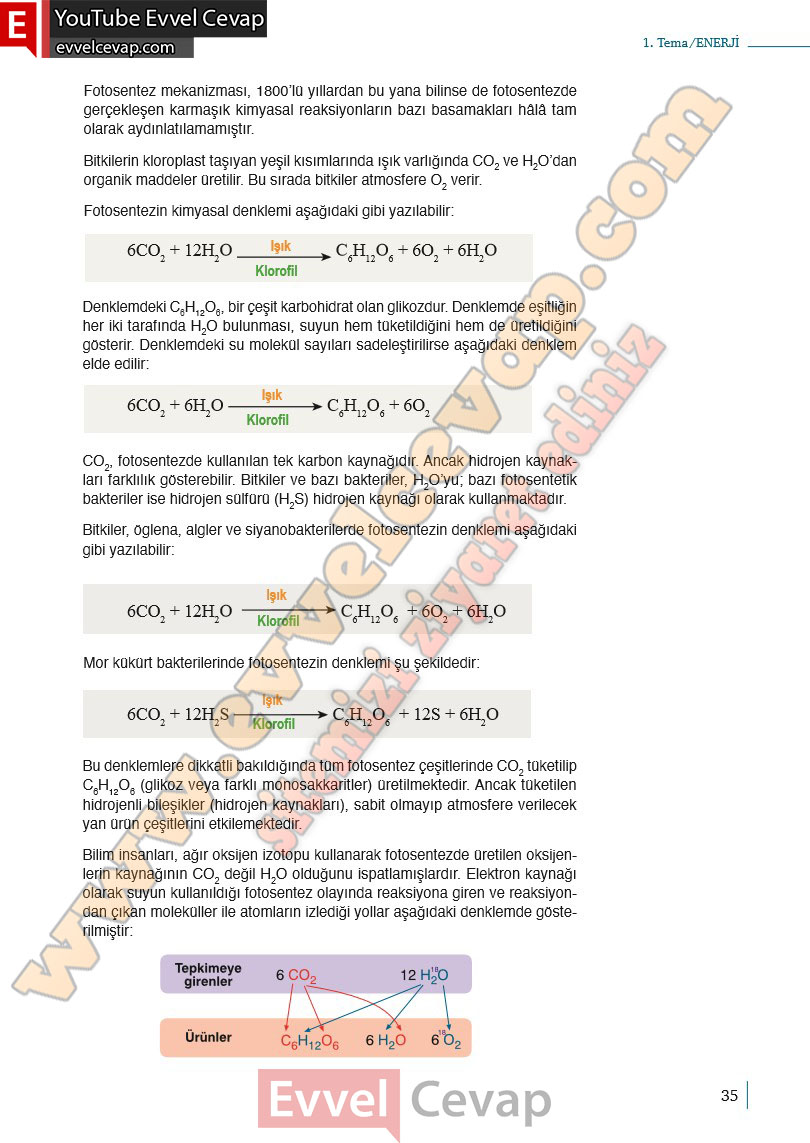 10-sinif-biyoloji-ders-kitabi-cevaplari-meb-yayinlari-2025-2026-sayfa-35