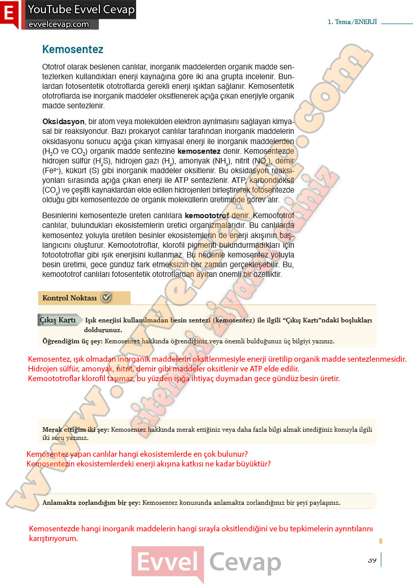 10-sinif-biyoloji-ders-kitabi-cevaplari-meb-yayinlari-2025-2026-sayfa-39
