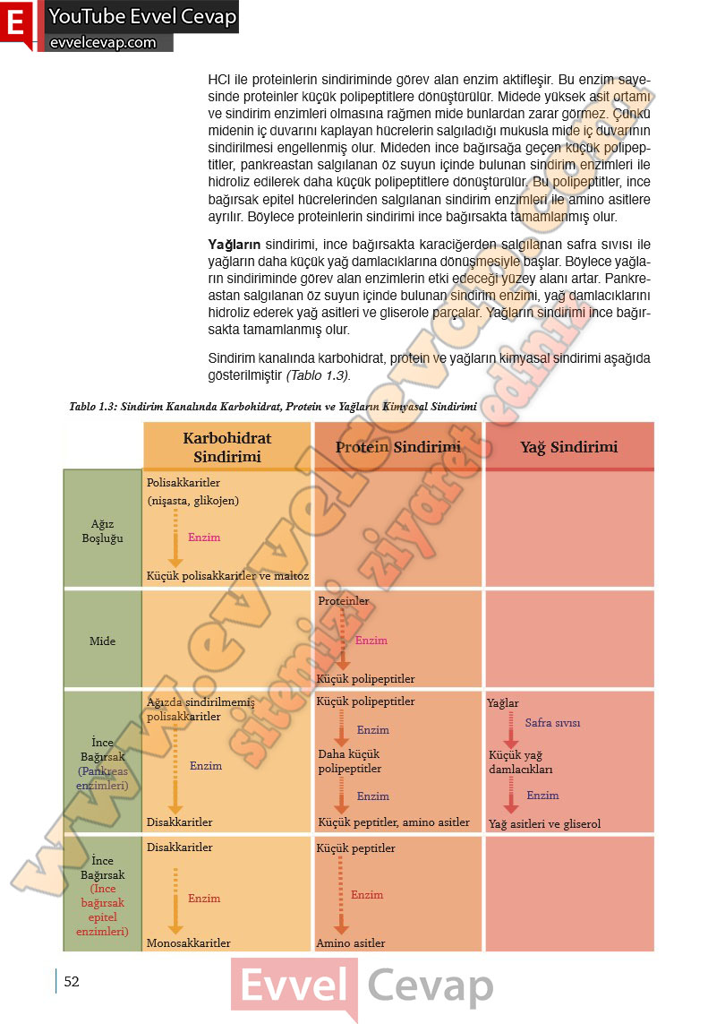 10-sinif-biyoloji-ders-kitabi-cevaplari-meb-yayinlari-2025-2026-sayfa-52