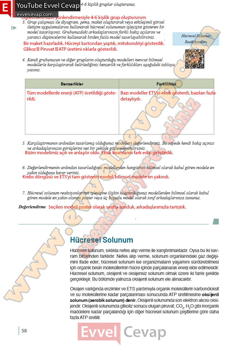 10-sinif-biyoloji-ders-kitabi-cevaplari-meb-yayinlari-2025-2026-sayfa-58