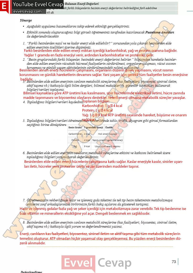 10-sinif-biyoloji-ders-kitabi-cevaplari-meb-yayinlari-2025-2026-sayfa-73