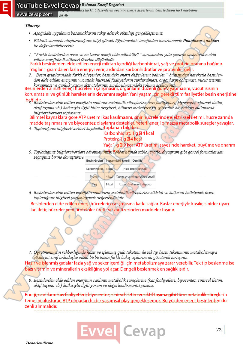 10-sinif-biyoloji-ders-kitabi-cevaplari-meb-yayinlari-2025-2026-sayfa-73