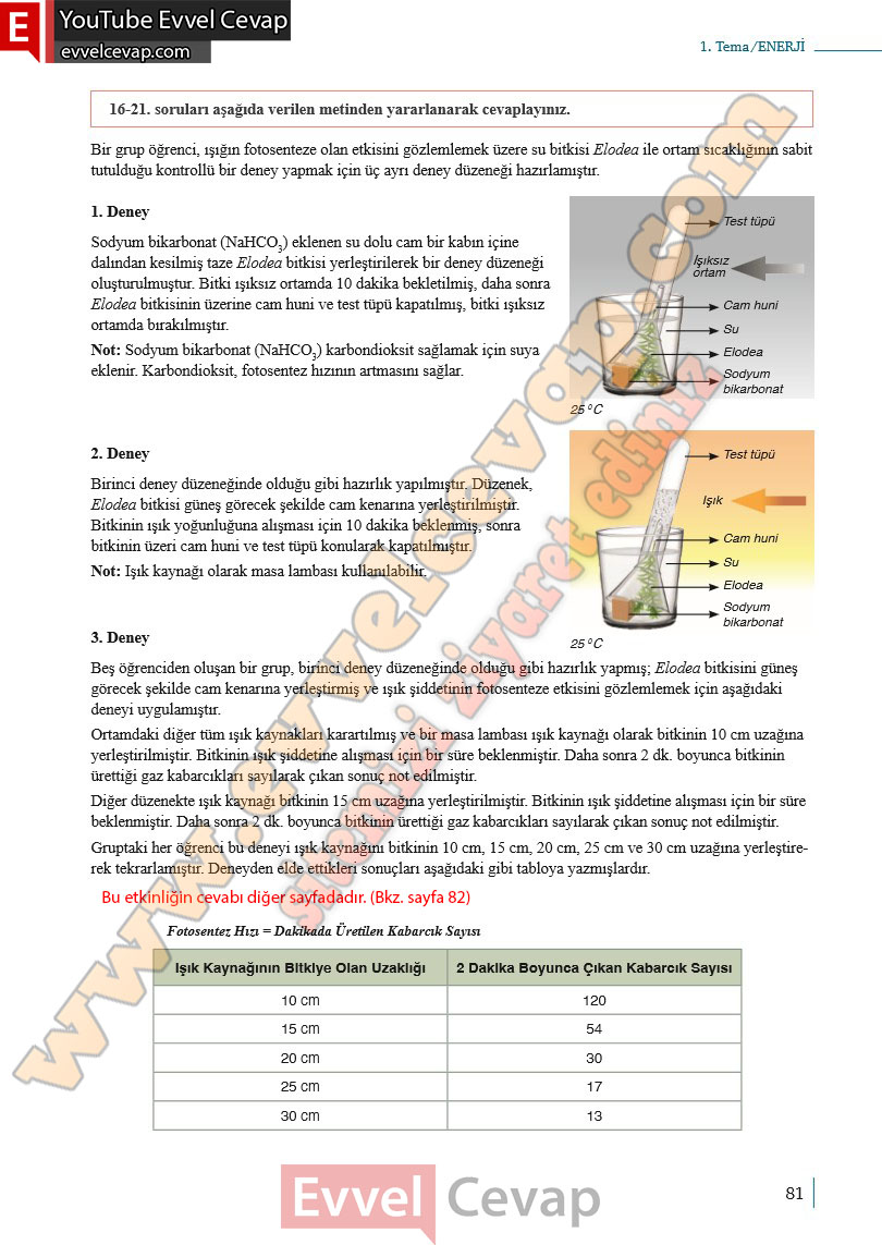 10-sinif-biyoloji-ders-kitabi-cevaplari-meb-yayinlari-2025-2026-sayfa-81