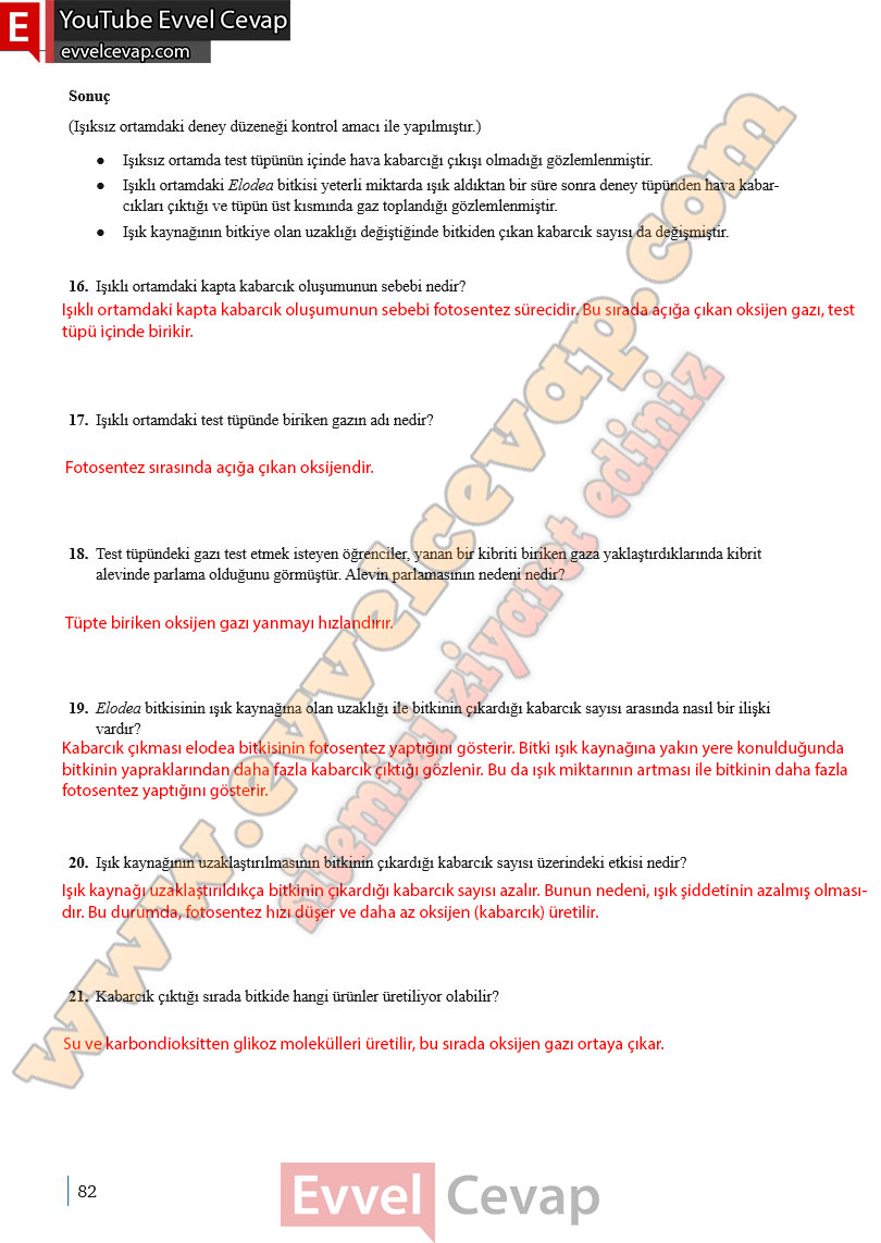 10-sinif-biyoloji-ders-kitabi-cevaplari-meb-yayinlari-2025-2026-sayfa-82