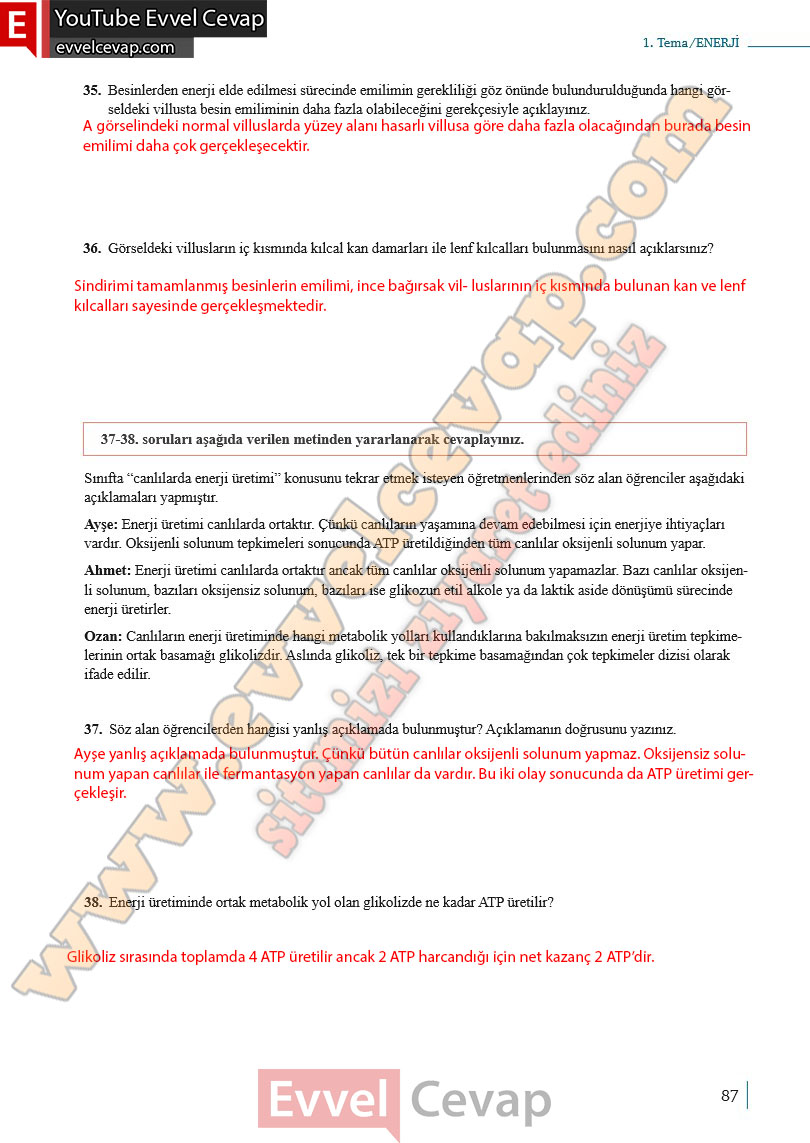 10-sinif-biyoloji-ders-kitabi-cevaplari-meb-yayinlari-2025-2026-sayfa-87