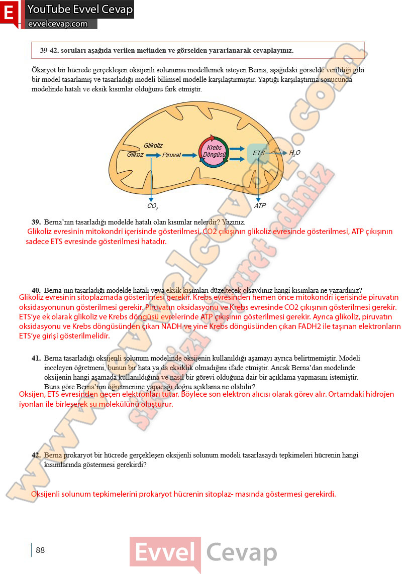 10-sinif-biyoloji-ders-kitabi-cevaplari-meb-yayinlari-2025-2026-sayfa-88